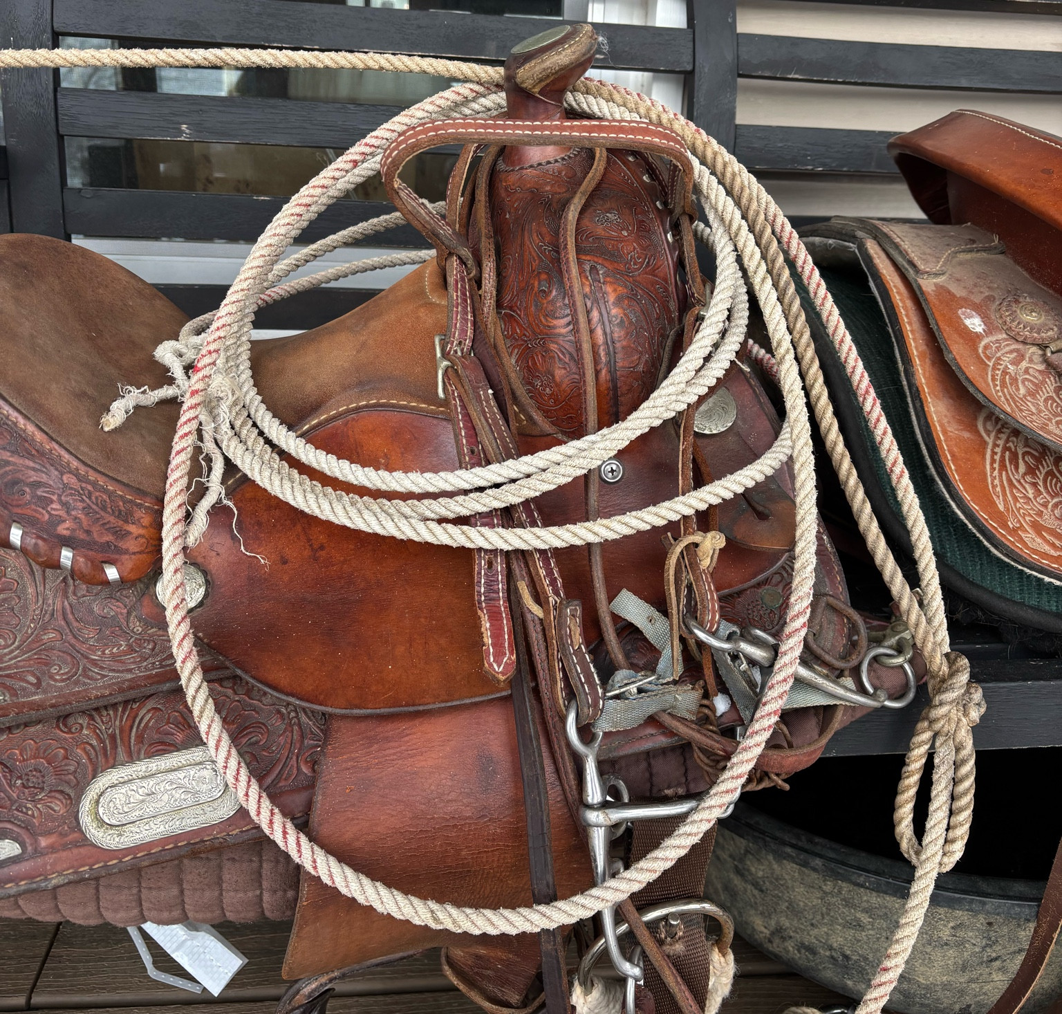 If you’re looking for tack or custom gear Alamo Saddlery is one of my favorites! Family owned and based out of Texas! Leah the owner is the absolute sweetest!

#LTKU #LTKSeasonal #LTKWorkwear