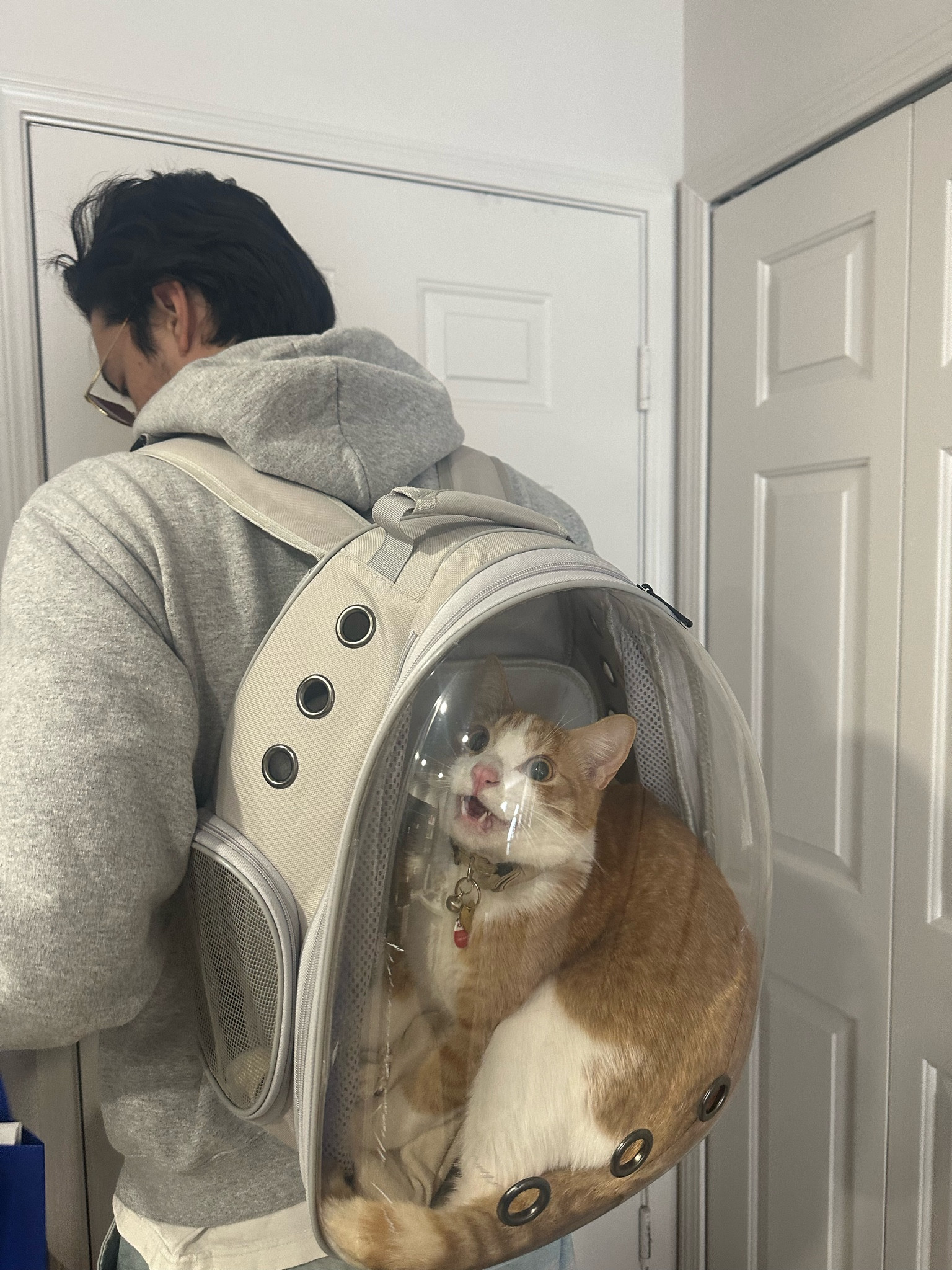 our favorite cat travel bag!! 

#LTKtravel #LTKitbag #LTKfamily