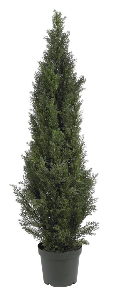 Nearly Natural 5291 5ft. Mini Cedar Pine Tree (Indoor/Outdoor),Green,5' | Amazon (US)