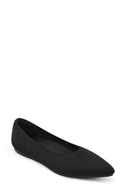 VIVAIA Aria 5°Pointed-Toe Ballet Flats in Black at Nordstrom, Size 10 | Nordstrom