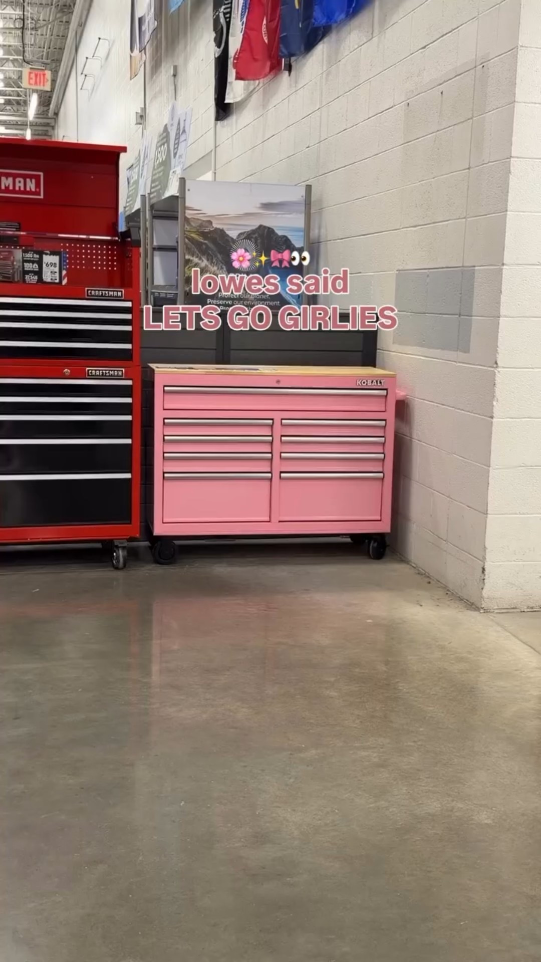 LETS GO DIY GIRLS 💕🌸🎀

follow along if you loved this content + comment PINK for direct link to everything to be sent to your inbox. ‼️ huge sellout risk!! I grabbed a few things for myself and some gift ideas I’ll be sharing soon ◡̈ obsessed with this baby muted pink @loweshomeimprovement are you KIDDING!! 🫶🏼✨

most of these items are on sale like the purple cart is $100’off 👀 

#lowespartner #loweshomeimprovement