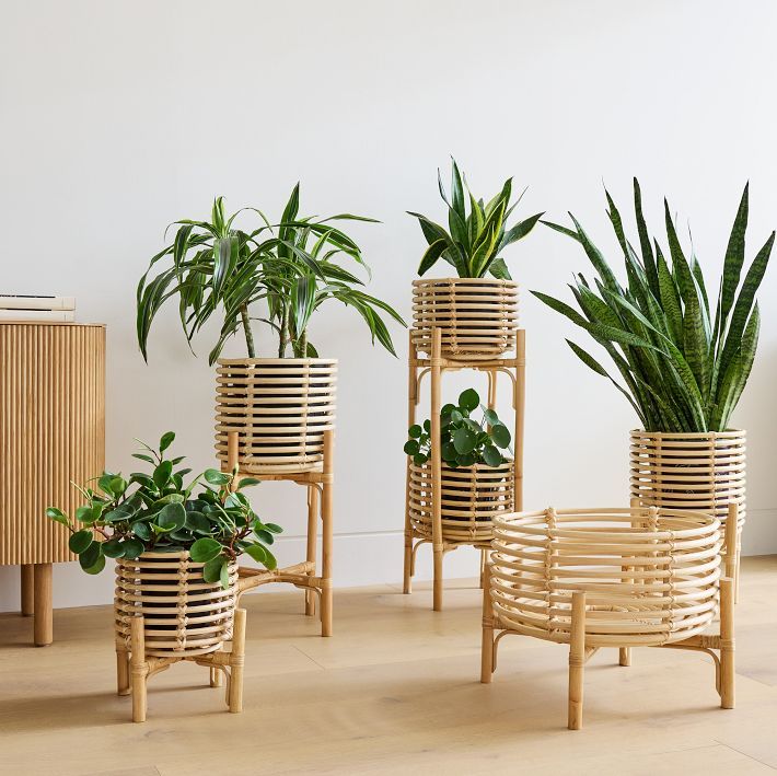 Adobe Rattan Planters | West Elm (US)