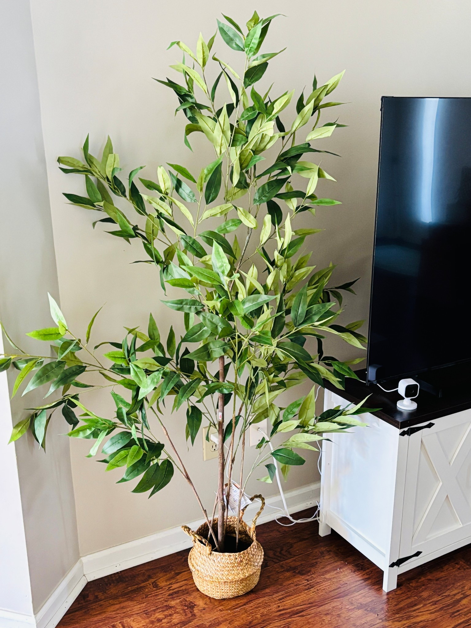 The PERFECT indoor faux plant! 🪴 

#LTKSaleAlert #LTKHome #LTKSeasonal