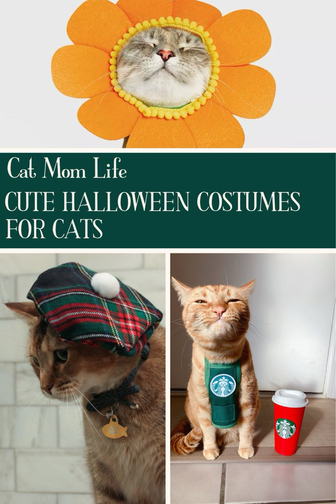 Cute Cat Halloween Costume Ideas - Adorable pet costumes from Chewy, Amazon, Target, Etsy, and More: Get spooky season ready with these adorable pet costumes! Celebrate Halloween with your furbaby in style, with the best Halloween vibes. Cute Halloween costumes for pets include classic witch's hats (get those witchy vibes!), regal pet capes, and more from Chewy, Amazon, and Etsy. Whether you're hosting a Halloween house party, or celebrating spooky season in a low key way, these adorable costume ideas for pets will add to your Halloween celebrations! Follow for more cat care tips, aesthetic cat toy and cat furniture finds, as well as great cat supplies!

#LTKParties #LTKSeasonal #LTKHalloween