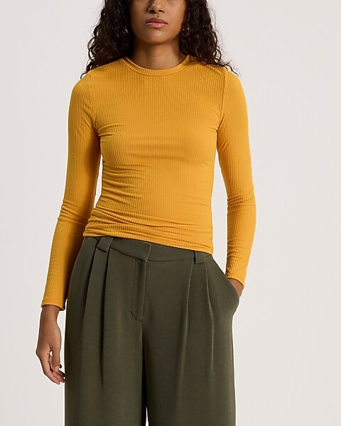 Fitted Ribbed Crew Neck Long Sleeve Tee | Express