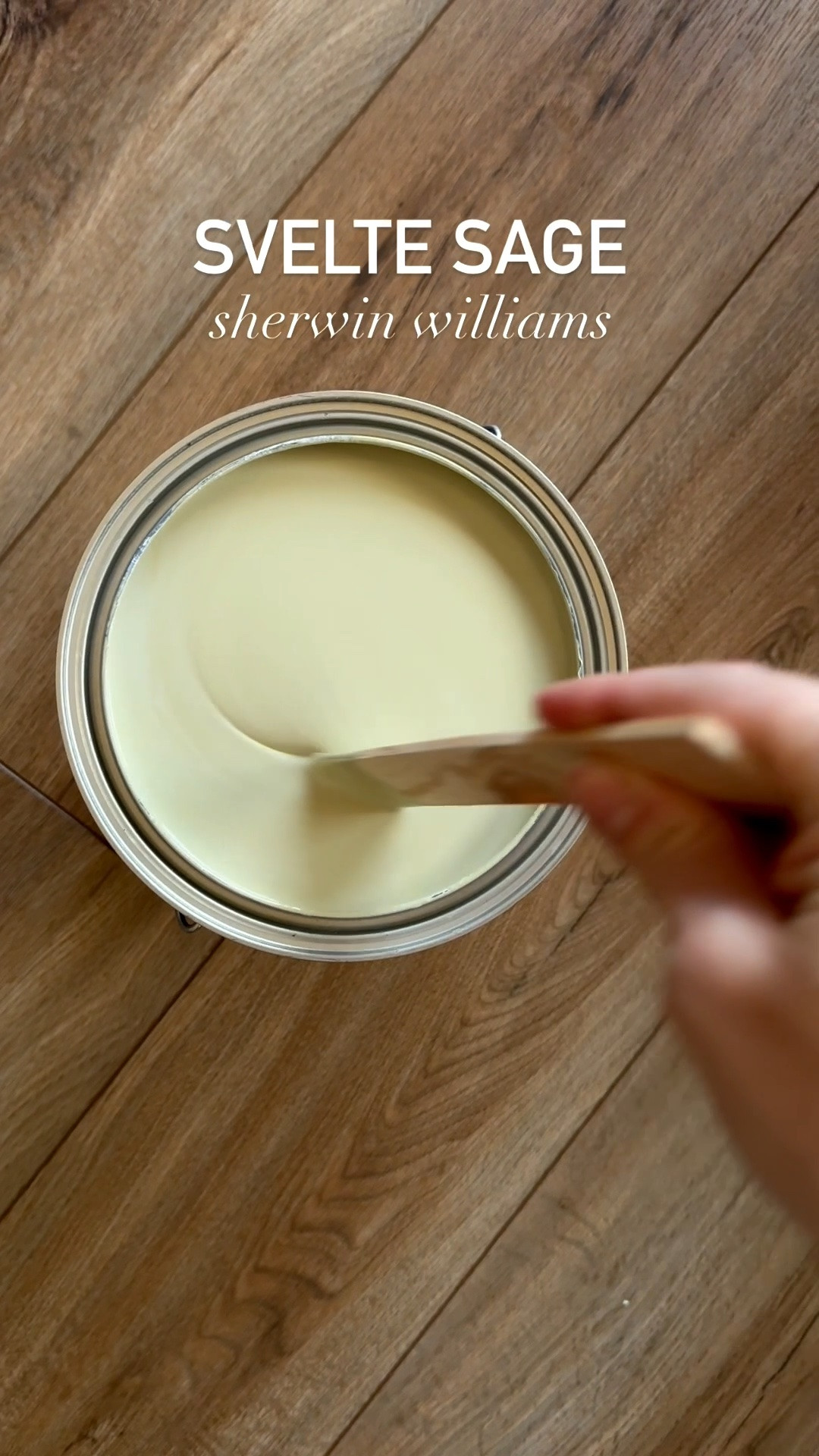simple bathroom makeover. svelte sage by sherwin williams. sage green bathroom. bathroom paint colors. home decor. small bathroom ideas.

#LTKSeasonal #LTKHome #LTKdayinmylife