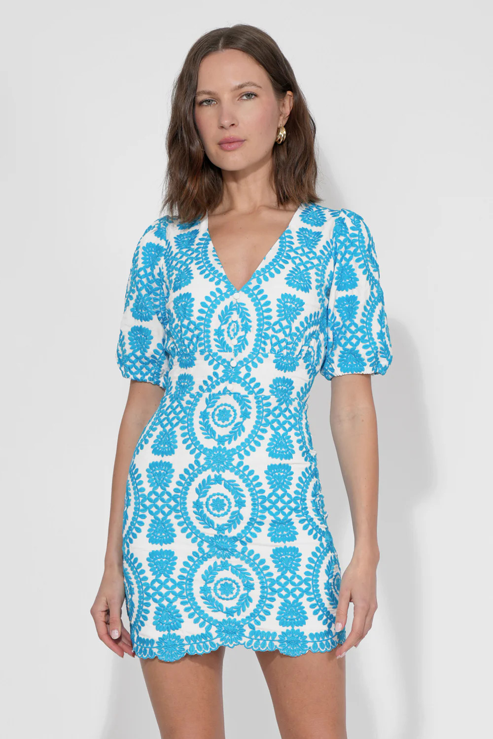 Rosemary Cotton Eyelet Embroidered Mini Dress | Adelyn Rae