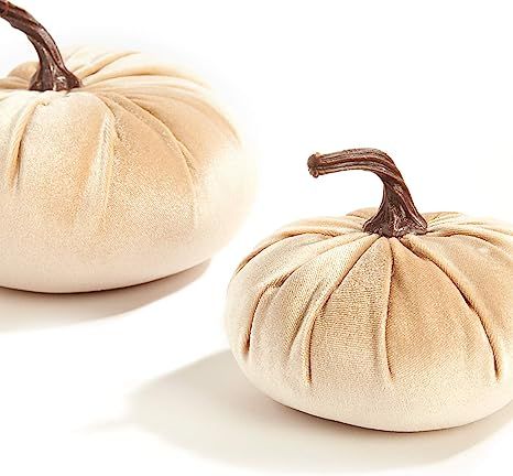 Velvet Pumpkins for Decorating - Set of 2, Plush Velveteen Fabric with Realistic Stems, 5 Inch an... | Amazon (US)