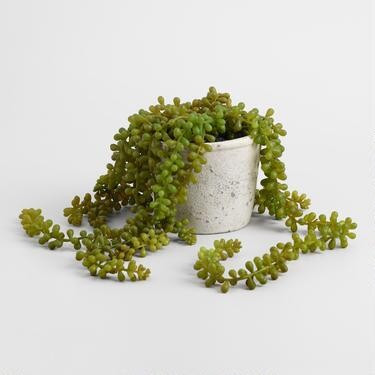 Faux String of Pearls Plant in Textured Pot | World Market