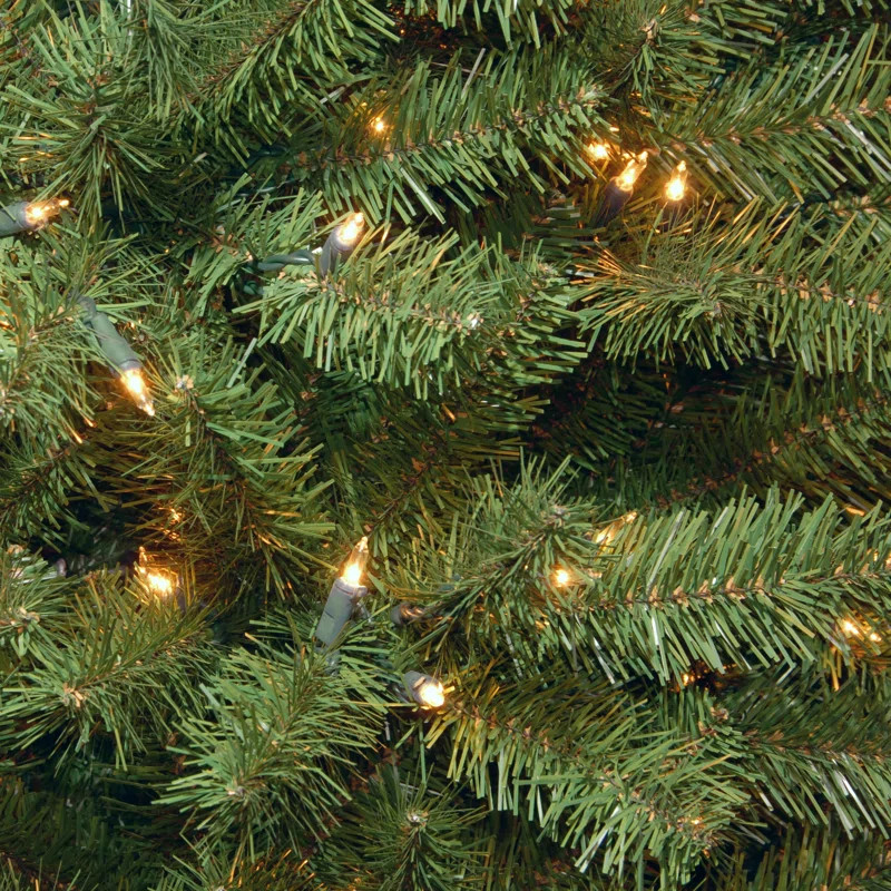 National Tree Company North Valley Spruce Tree with Clear Lights & Reviews | Wayfair | Wayfair North America