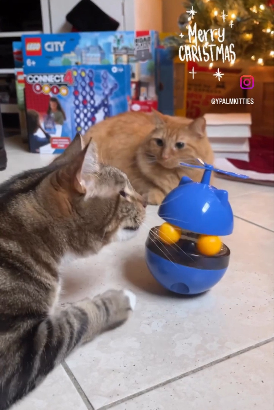 Cat Treat Dispenser Toy from Aldi. Found similar one at Walmart 😽#LTKPets

#LTKunder50 #LTKFind #LTKfamily