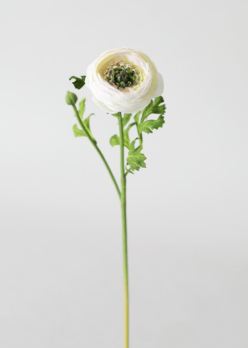 Silk Ranunculus in Cream - 13" | Afloral (US)