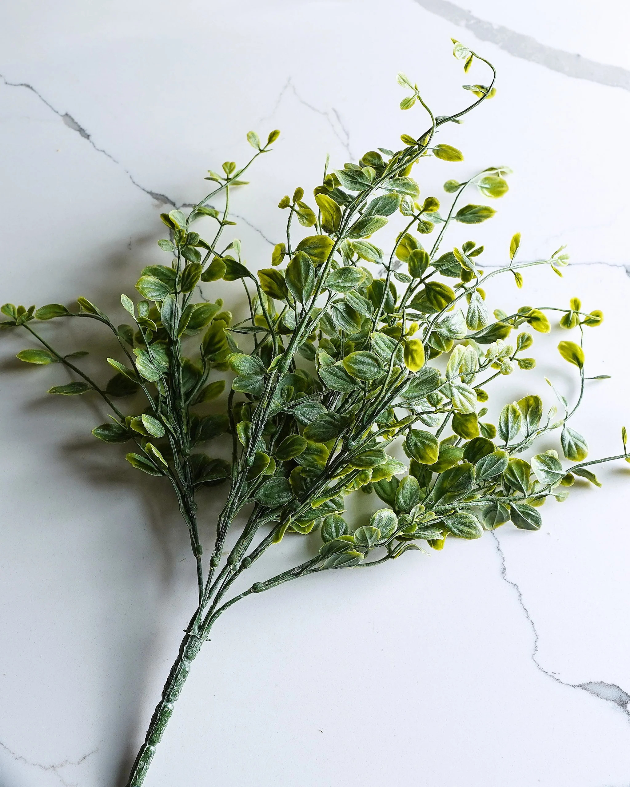 Whisperleaf Bush Bundle | Two Stems | MJHome