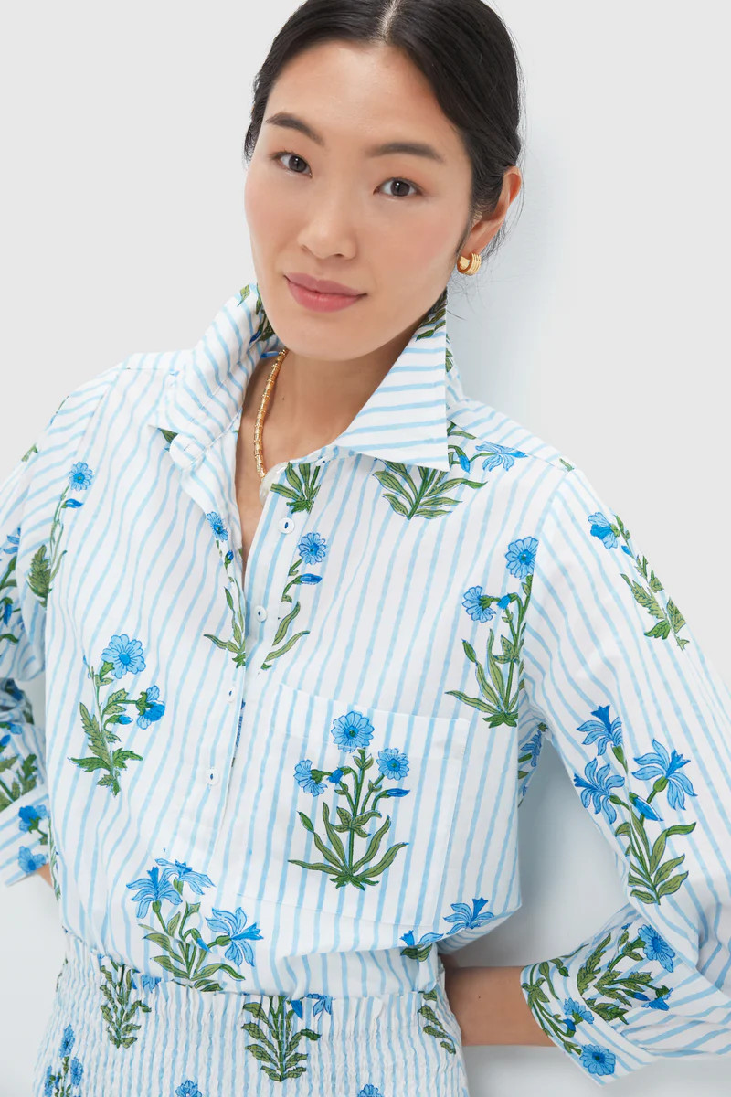 Lily Stripe Alba Shirt | Tuckernuck (US)