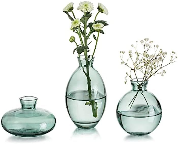Glasseam Green Glass Bud Vase, 3Pcs/Set Modern Decorative Small Mini Flowers Vases Short Minimali... | Amazon (US)