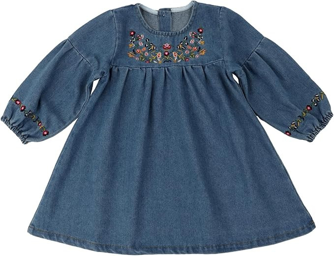 HOOLCHEAN Toddler and Little Girls Denim Embroidered Long Sleeved Dress Kids Playwear | Amazon (US)