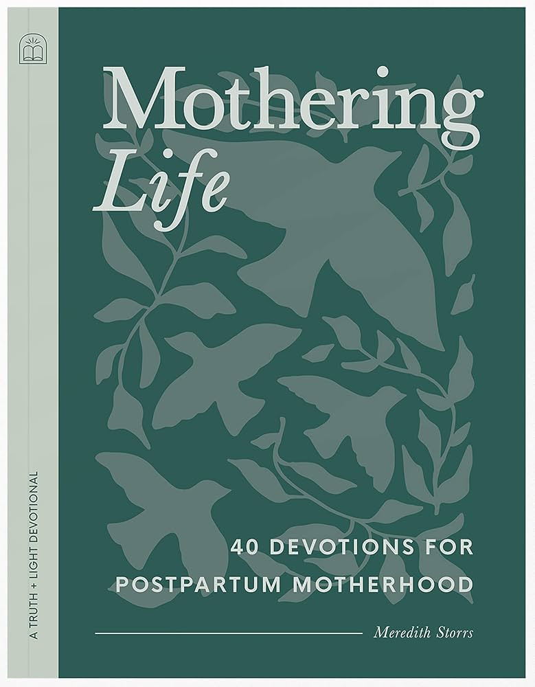 Mothering Life Devotional: 40 Devotions for Postpartum Motherhood - Equipping Moms with Encourage... | Amazon (US)