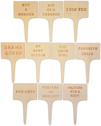 Sassy Stakes Funny Plant Markers for Garden Set of 10 - Great Funny Plant Gifts for Plant Lovers ... | Amazon (US)