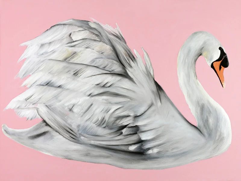 Swan | Artfully Walls