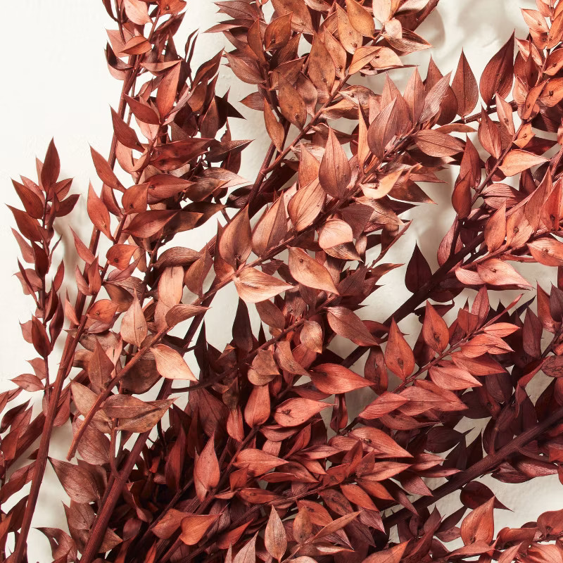 Preserved 20" Rusted Ruscus Leaves Bundle - Hearth & Hand™ with Magnolia | Target