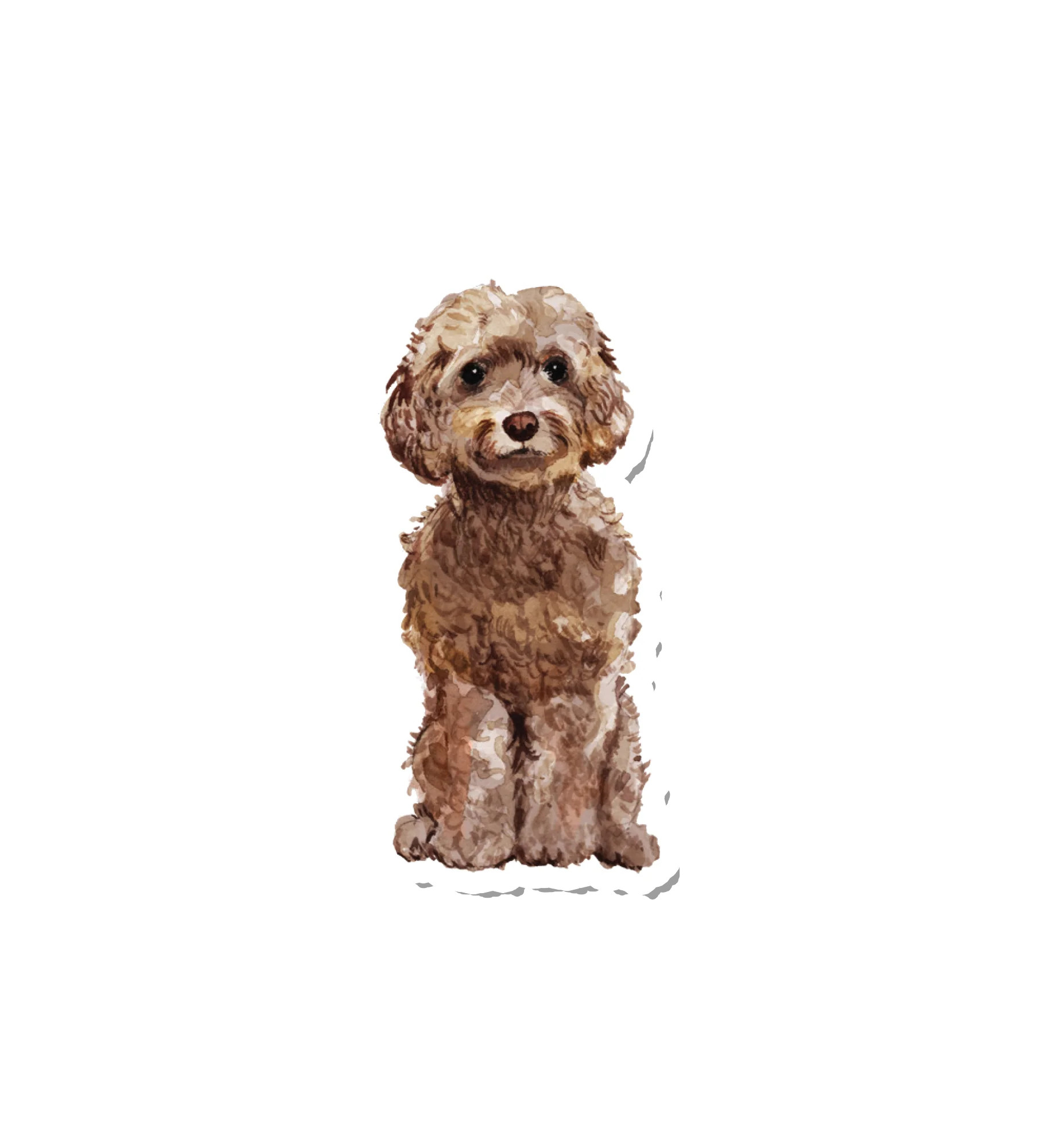 Watercolor Cockapoo | Suteka