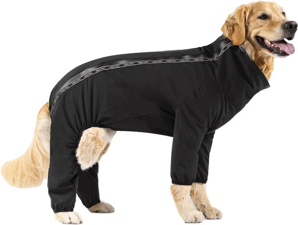CANADA POOCH The Slush Dog Suit, 20, Black - Chewy.com | Chewy.com