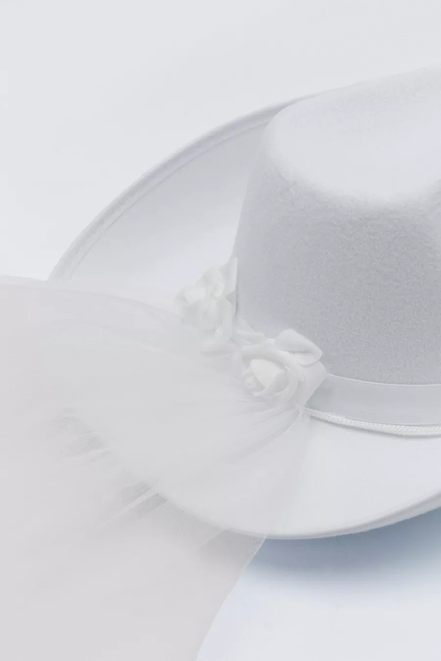 Veil Trim Cowboy Hat | Nasty Gal US