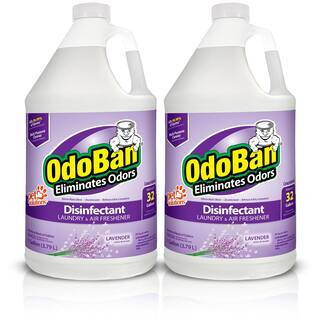 1 Gal. Lavender Disinfectant and Odor Eliminator, Fabric Freshener, Mold Control, Multi-Purpose Concentrate (2-Pack) | The Home Depot