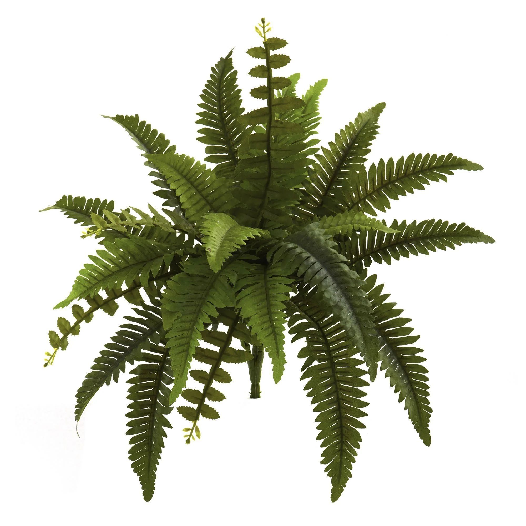 14” Boston Fern Artificial Plant (Set of 6) | Nearly Natural