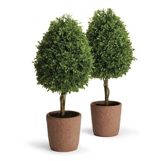 Boxwood Tabletop Cone Topiaries, Set of Two | Frontgate