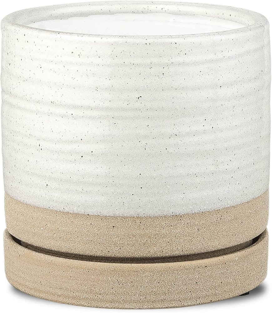 HERDUK 6 Inch Plant Pots, Ceramic Planter Pot with Drainage Hole & Saucer, Indoor/Outdoor Cylinde... | Amazon (US)