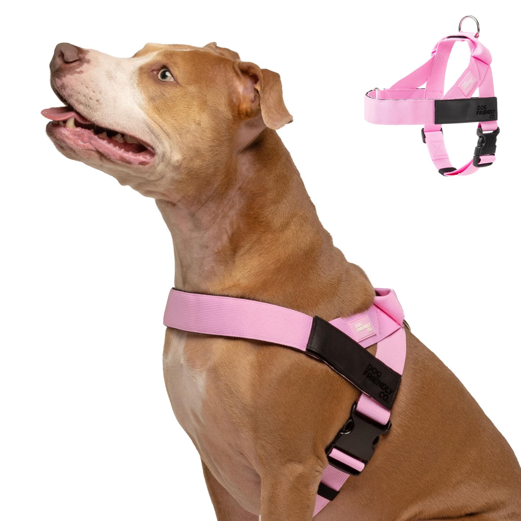 DF Co. Dog Harness | Chafe Resistant Webbing, Adjustable Neck & Chest, and Heavy Duty D-Ring | St... | Amazon (US)