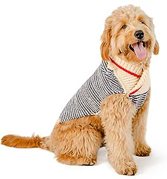 Chilly Dog Spencer Striped Dog & Cat Sweater | Chewy.com