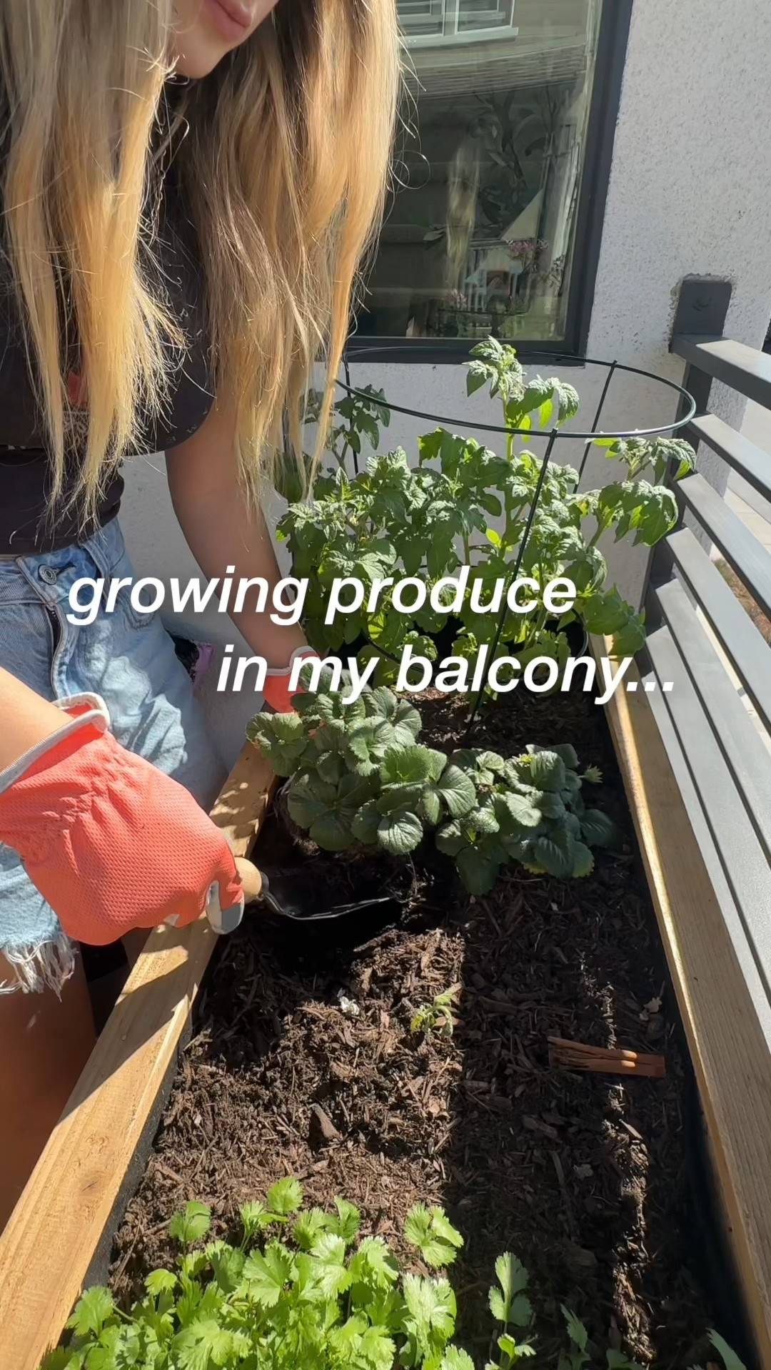 Gardening has become everything this spring 🪴🫶🏻✨

#LTKHome #LTKSeasonal