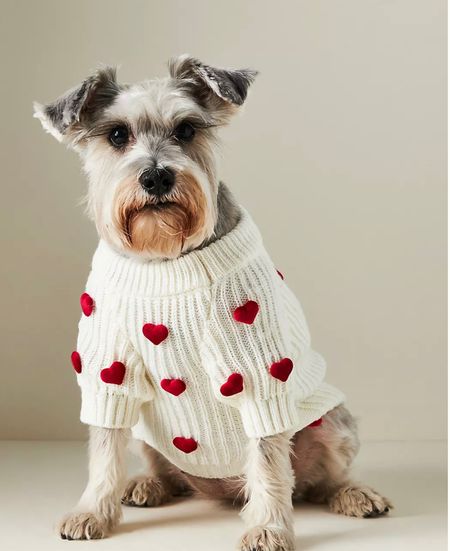 Valentine’s Day dog sweater! Dog sweater for winter. 

#dogsweater #valentine #valentinesday #heartsweater #dogfashion #clothesfordogs #dogclothes #puppylove



#LTKhome #LTKfamily #LTKHoliday