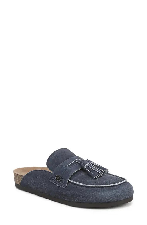Sam Edelman Astrid Tassel Loafer in Atlantic Blue at Nordstrom, Size 5.5 | Nordstrom