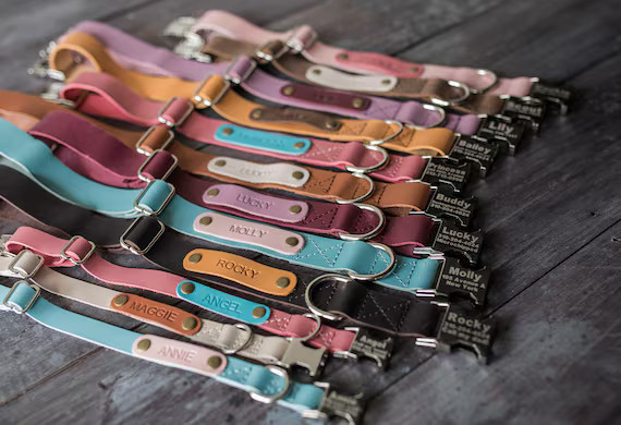 Leather dog collar, Personalized dog collar, dog collar, leather, FREE MACHINE ENGRV buckle, pers... | Etsy (US)
