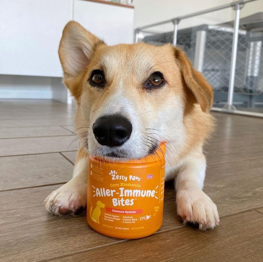 Salmon Fish Oil Omega 3 for Dogs - with Wild Alaskan Salmon Oil - Skin & Coat + Allergy Support -... | Amazon (US)