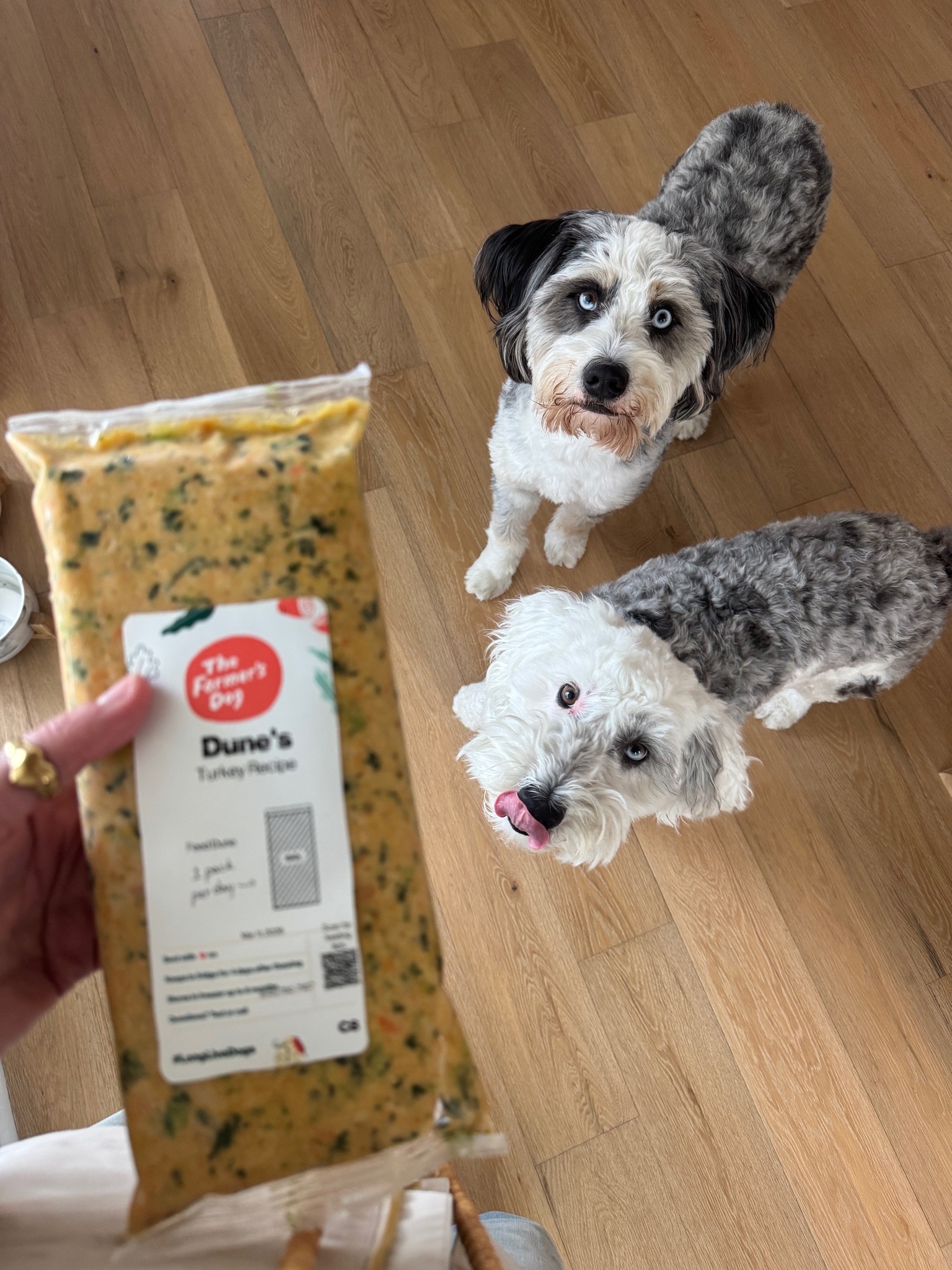 The food we have used since we got both dogs!  We do mostly beef and a little turkey!  Each dog gets the same amount but it’s based on their weight and activity level.  Arrives on schedule. I never have to think about it. New sign up special.

#LTKSaleAlert #LTKfoodie