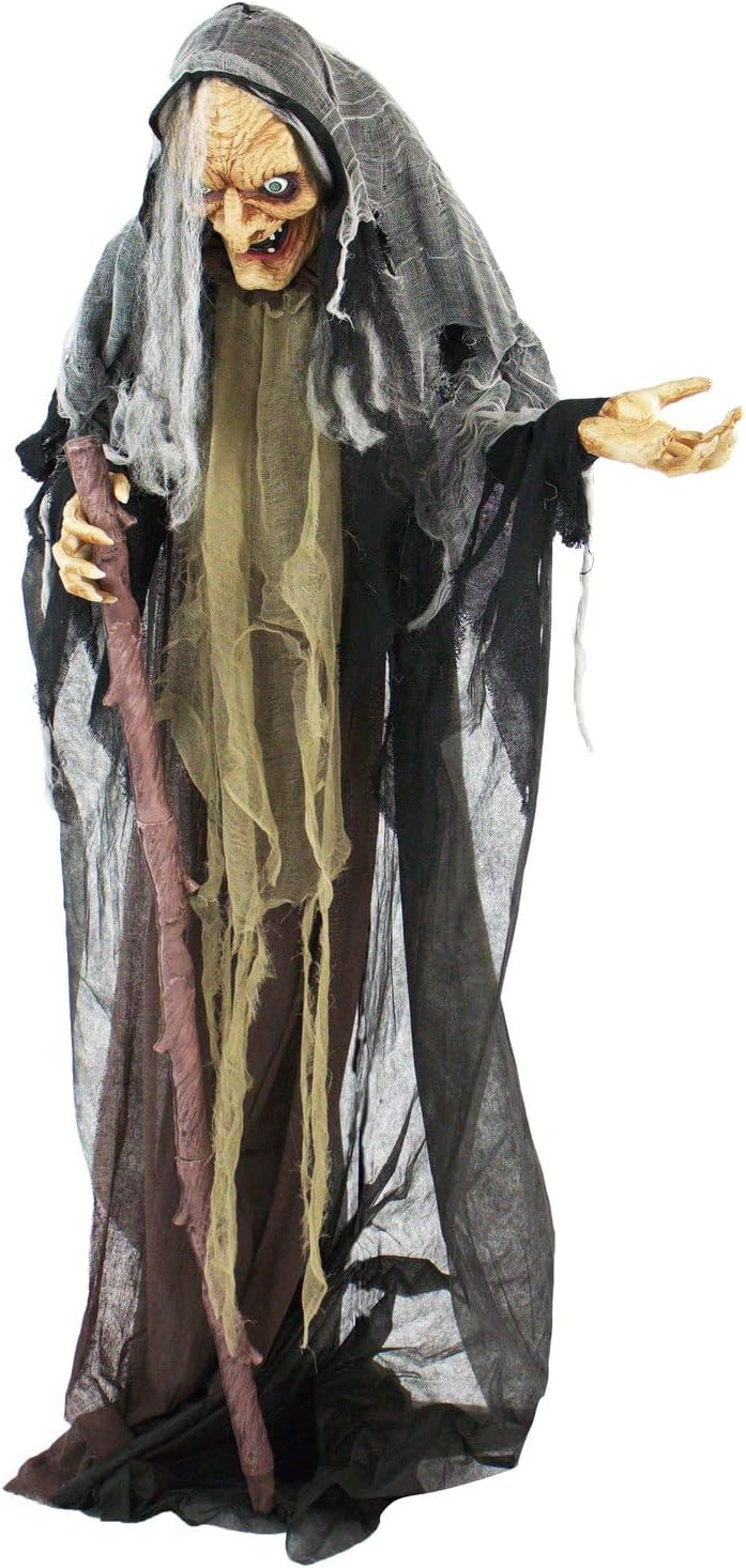 Haunted Hill Farm Life-Size Scary Poseable Talking Witch, Halloween Animatronic with Touch Activated Lights and Sound, Battery Operated Indoor or Covered Outdoor Halloween Decorations, Halloween Prop | Amazon (US)