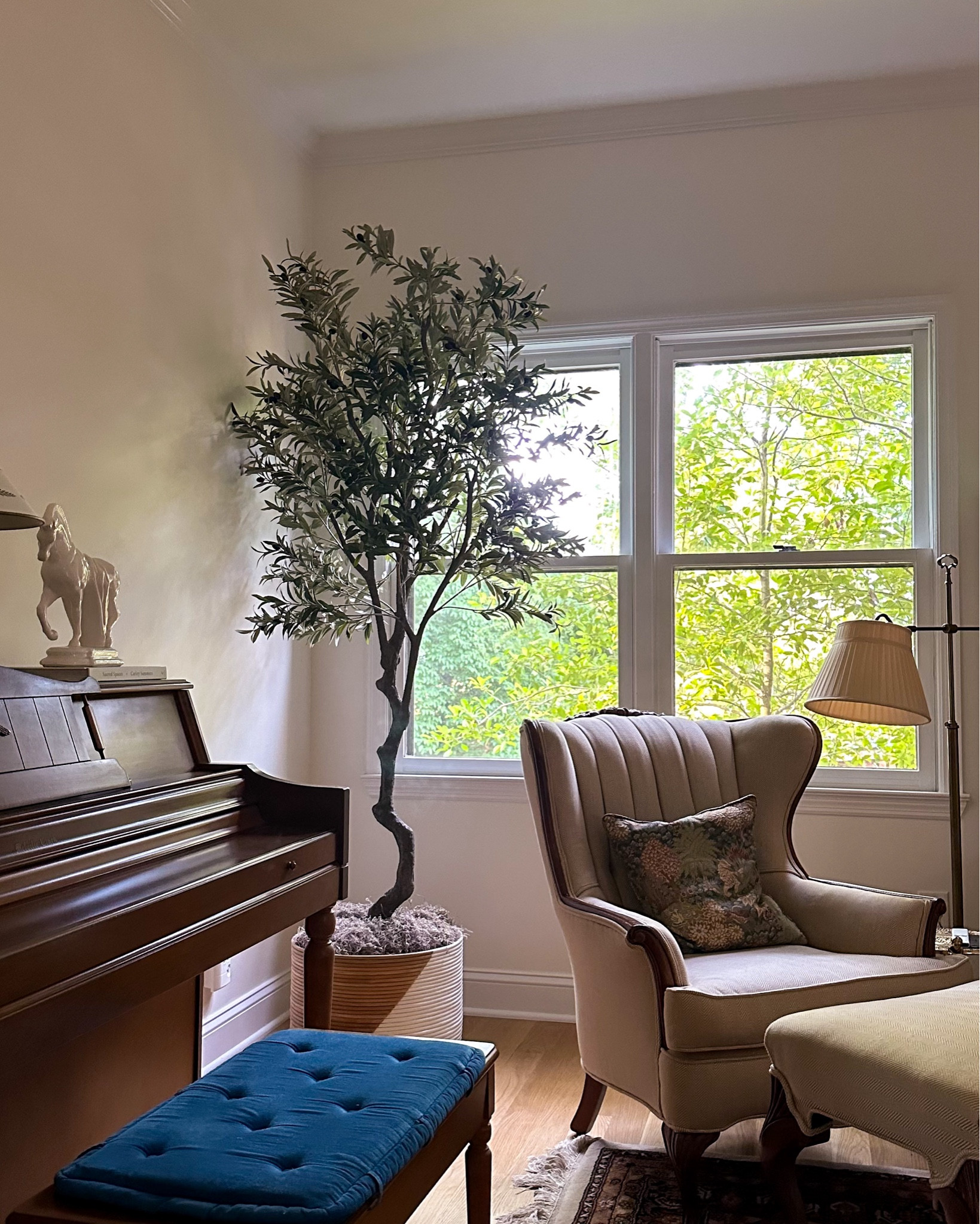 There’s no shame in faux! I bought this faux olive tree a year ago and have loved it every day since. Walking you through all the features I love about it, and rounding up some additional faux trees for every style. Fiddle fig tree, olive tree, eucalyptus tree, shady lady tree.

#LTKStyleTip #LTKHome #LTKVideo
