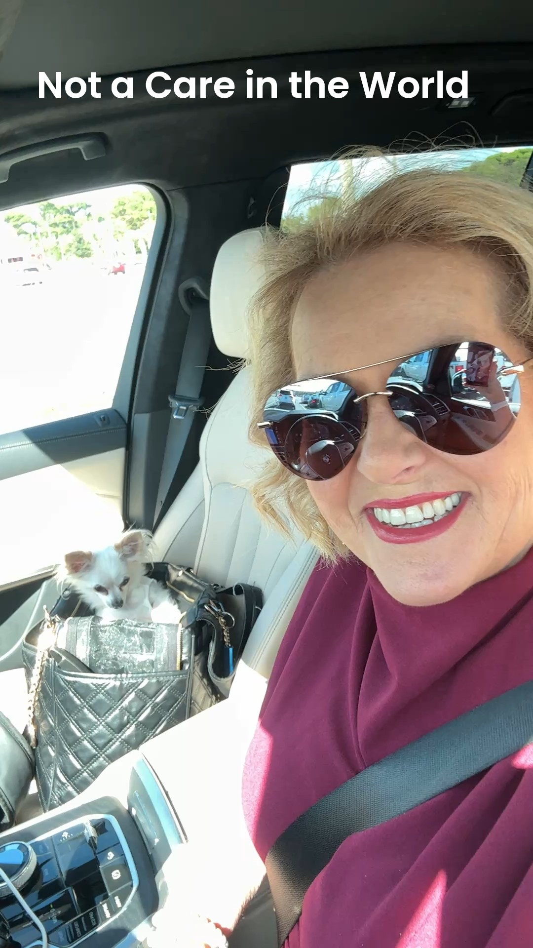 
“Lexie’s got the luxe life—sitting pretty in her designer bag without a care in the world 💕🐾”

#LTKDog #DogsofLTK #PetStyle #LuxuryPets #ChicAndPawsome #TravelWithPets #DogMomLife #PetFashionista #LadyVTravels

#LTKTravel #LTKPets #LTKOver40