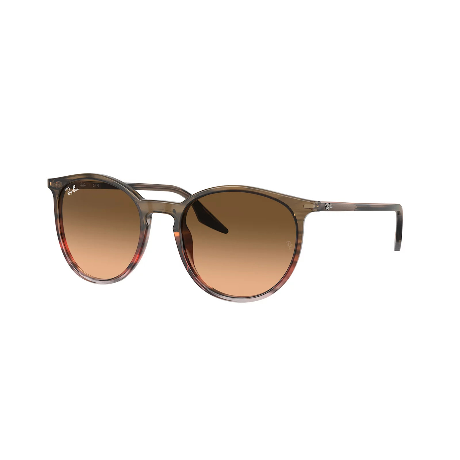 Ray-Ban 0RB2204 54mm Round Polarized Sunglasses, Lt Brown | Kohl's