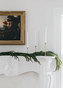 The Original Afloral Real Touch Norfolk Pine Garland - 60" | Amazon (US)