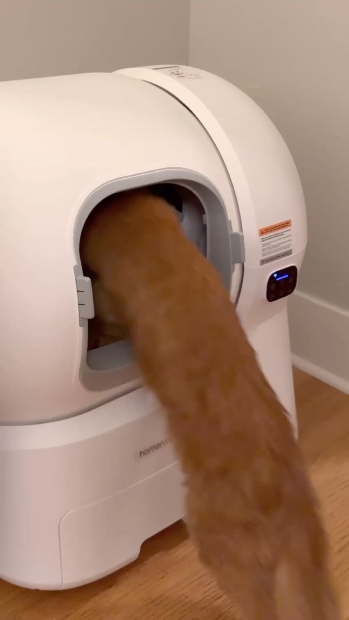 Discover the Ultimate Oversized Self-Cleaning Litter Box for Cats! #ad