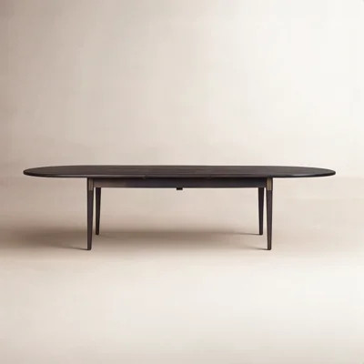 Dalli Extendable Oval Solid Wood Top Dining Table | Wayfair North America