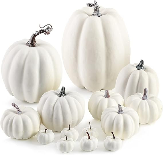 DomeStar Artificial Pumpkins, 14PCS White Fake Pumpkins Assorted Pumpkins Faux Pumpkins Farmhouse... | Amazon (US)