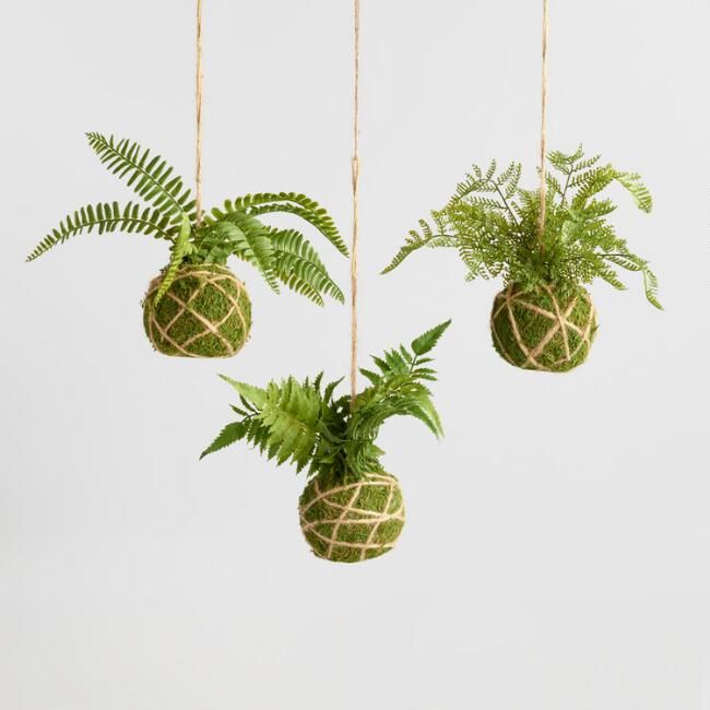 Faux Kokedama Fern Hanging Decor Set of 3 | World Market