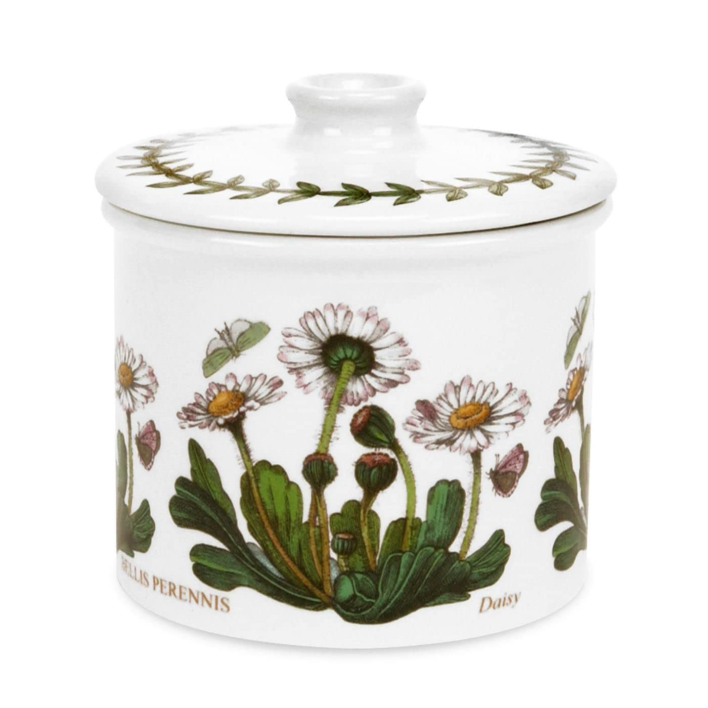 Portmeirion Botanic Garden 7oz Covered Sugar Bowl, Daisy Motif - Fine Earthenware, Chip-Resistant... | Amazon (US)
