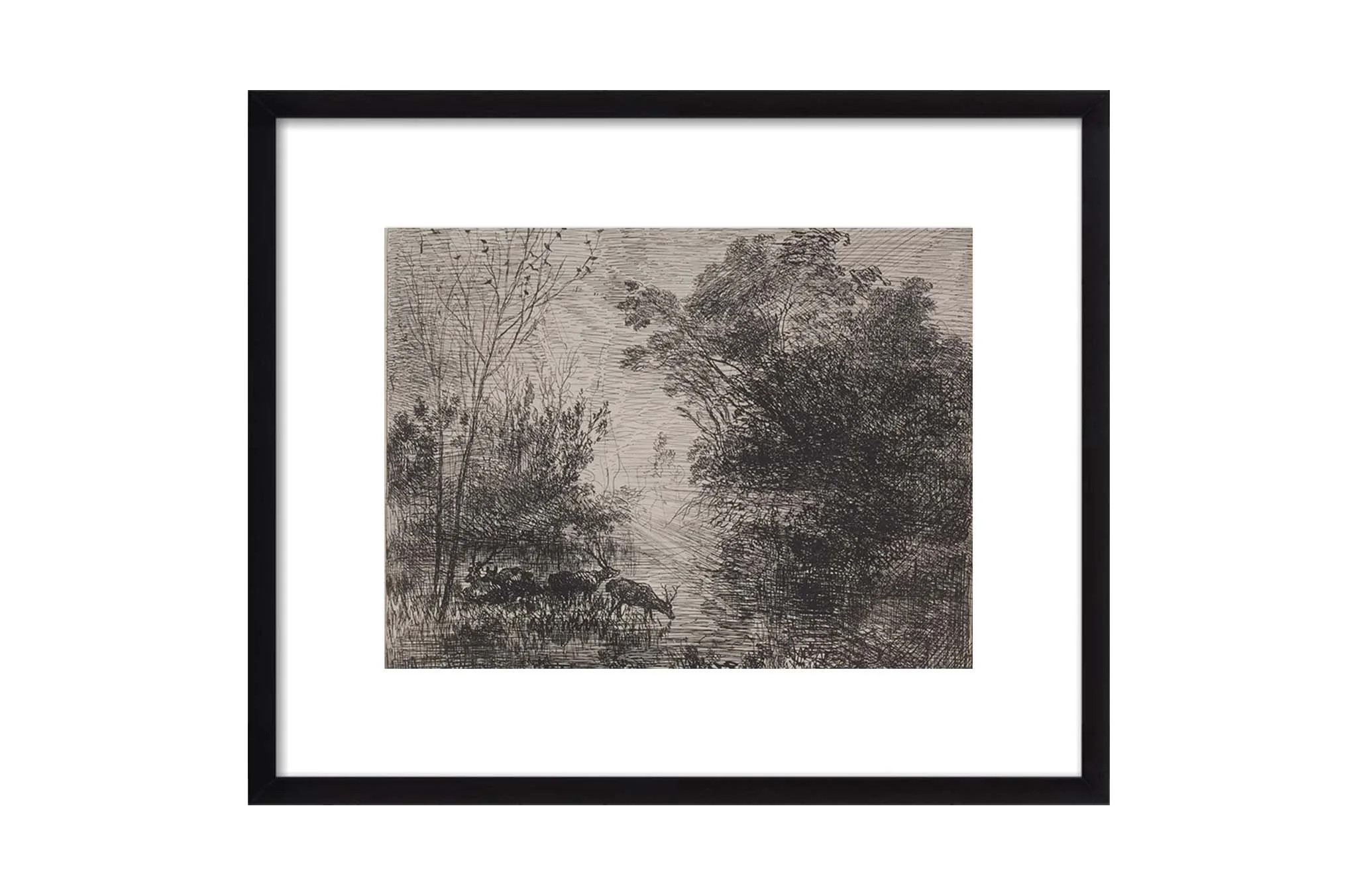 Meadow Sketch | North and Finch